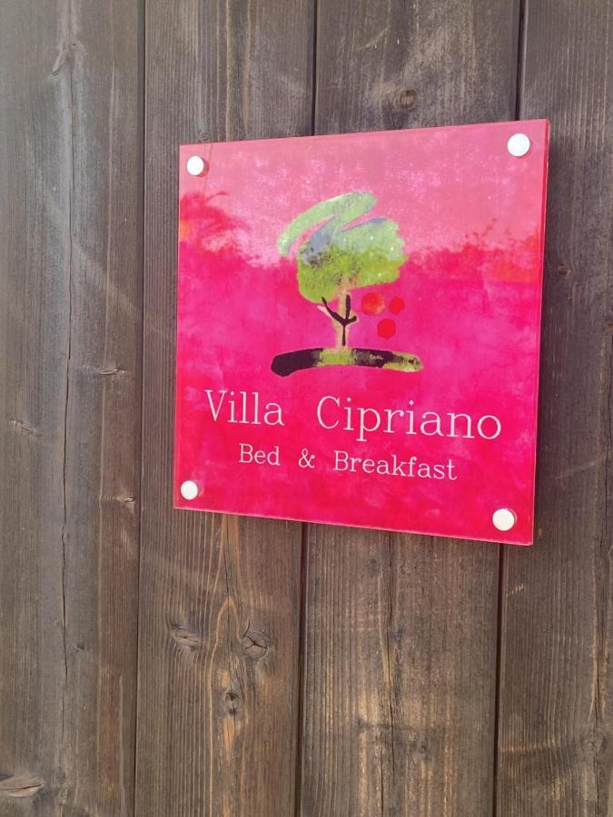 مينتورنو Villa Cipriano المظهر الخارجي الصورة